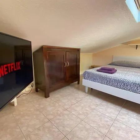 Tiny Costabella باردولينو