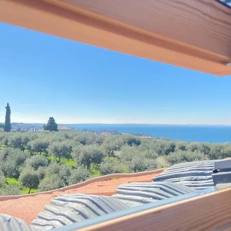 Tiny Costabella Μπαρντολίνο