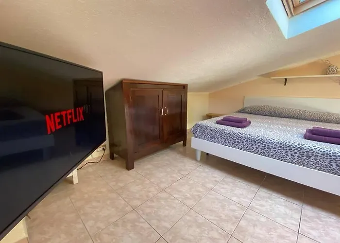 Tiny Costabella 바르돌리노